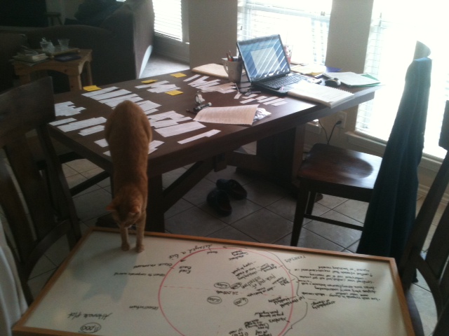 Plotting with white board, cards & cat